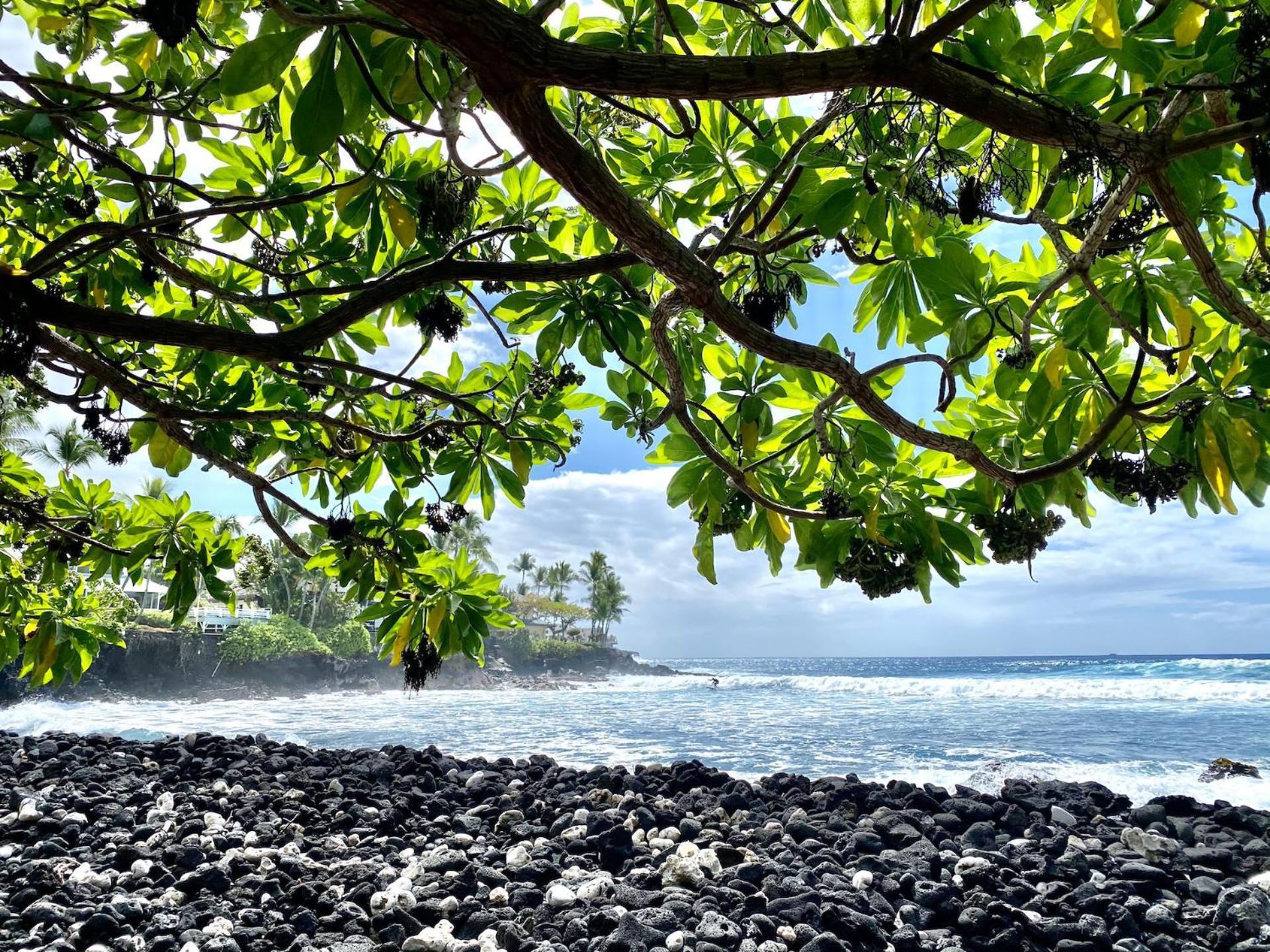 Ocean Breeze Kona Home Kailua-Kona Exteriér fotografie